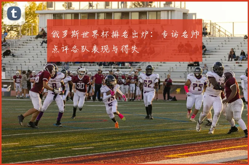俄罗斯世界杯排名出炉：专访名帅点评各队表现与得失